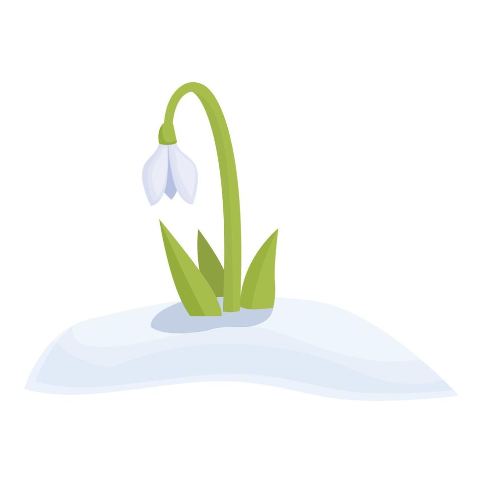 Grass snowdrop icon cartoon vector. Spring flower vector