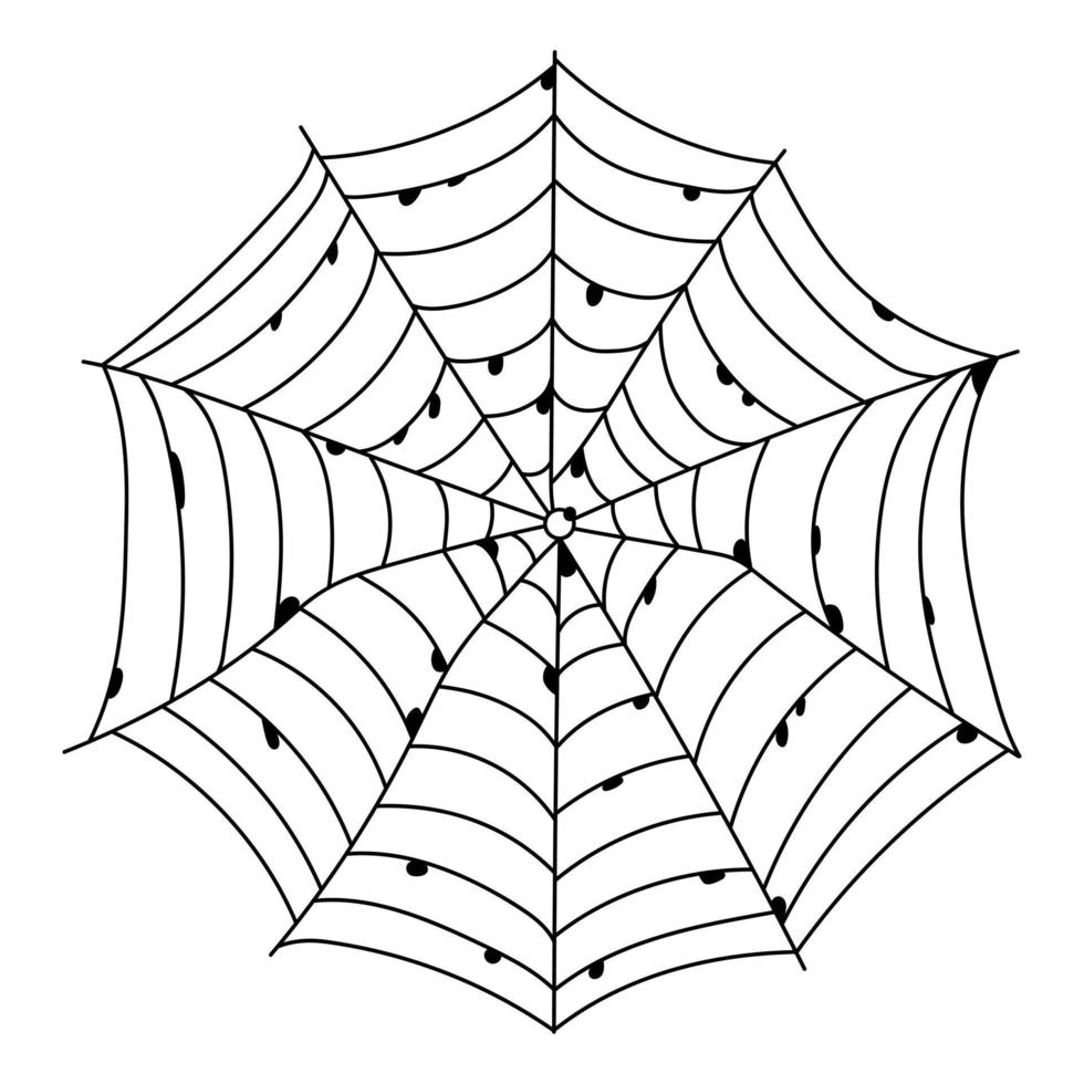 Scary spider web isolated. Spooky Halloween decoration. Outline cobweb illustration vector