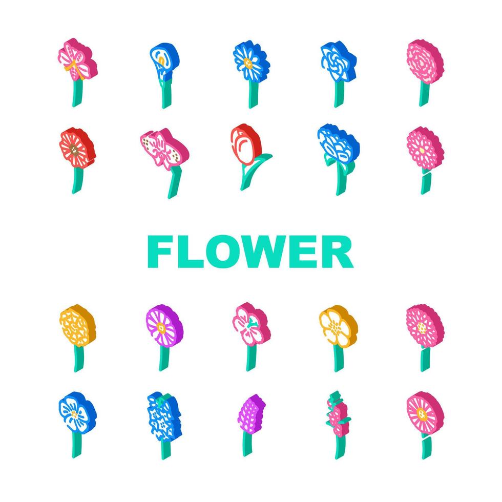flower spring floral nature icons set vector