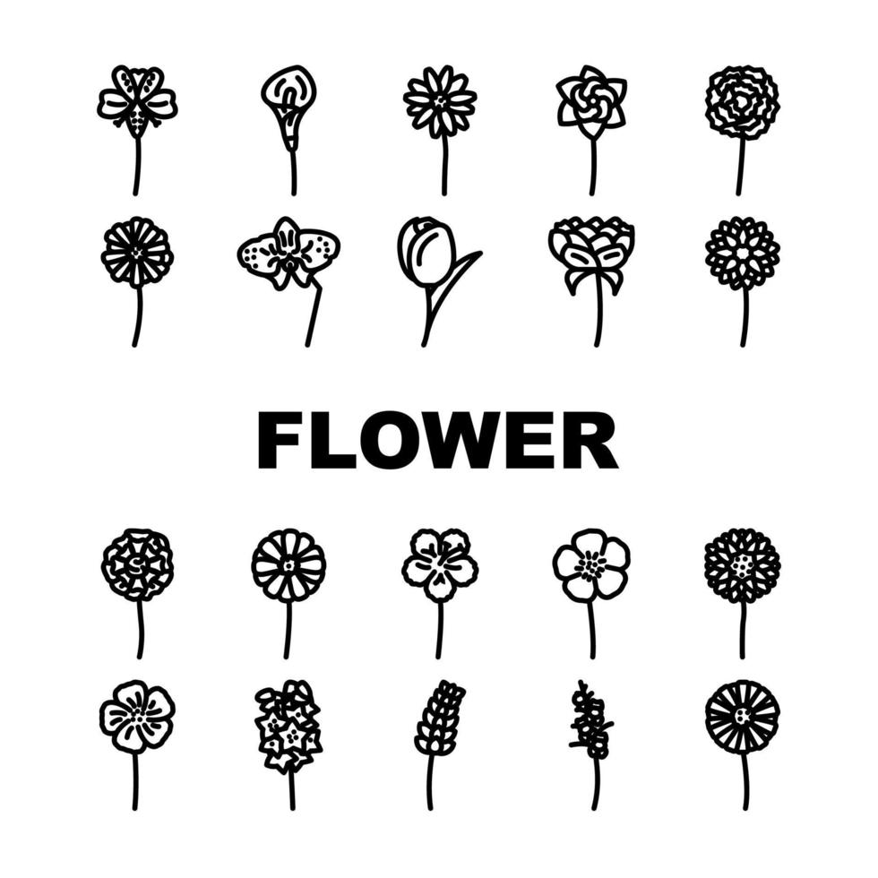 flower spring floral nature icons set vector