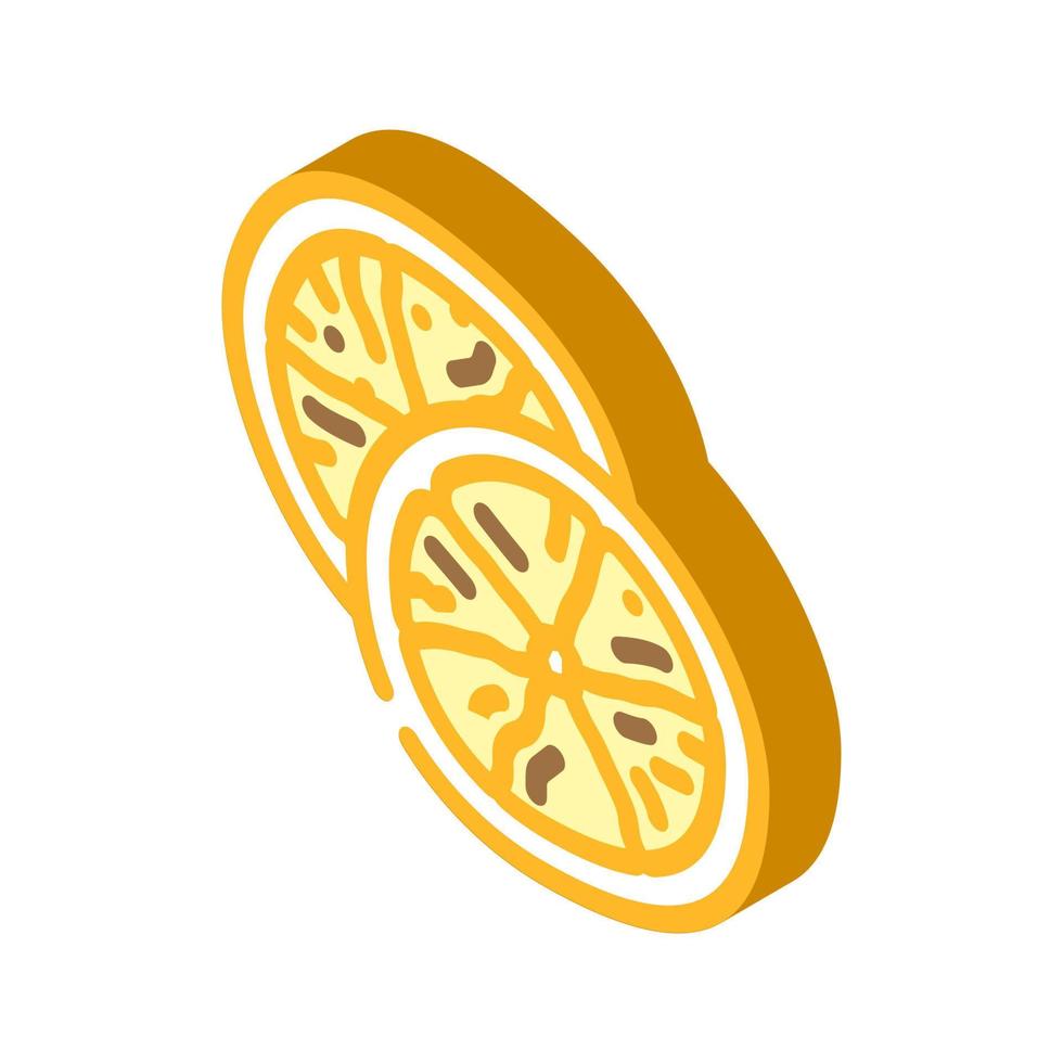 orange dried fruit isometric icon vector illustration