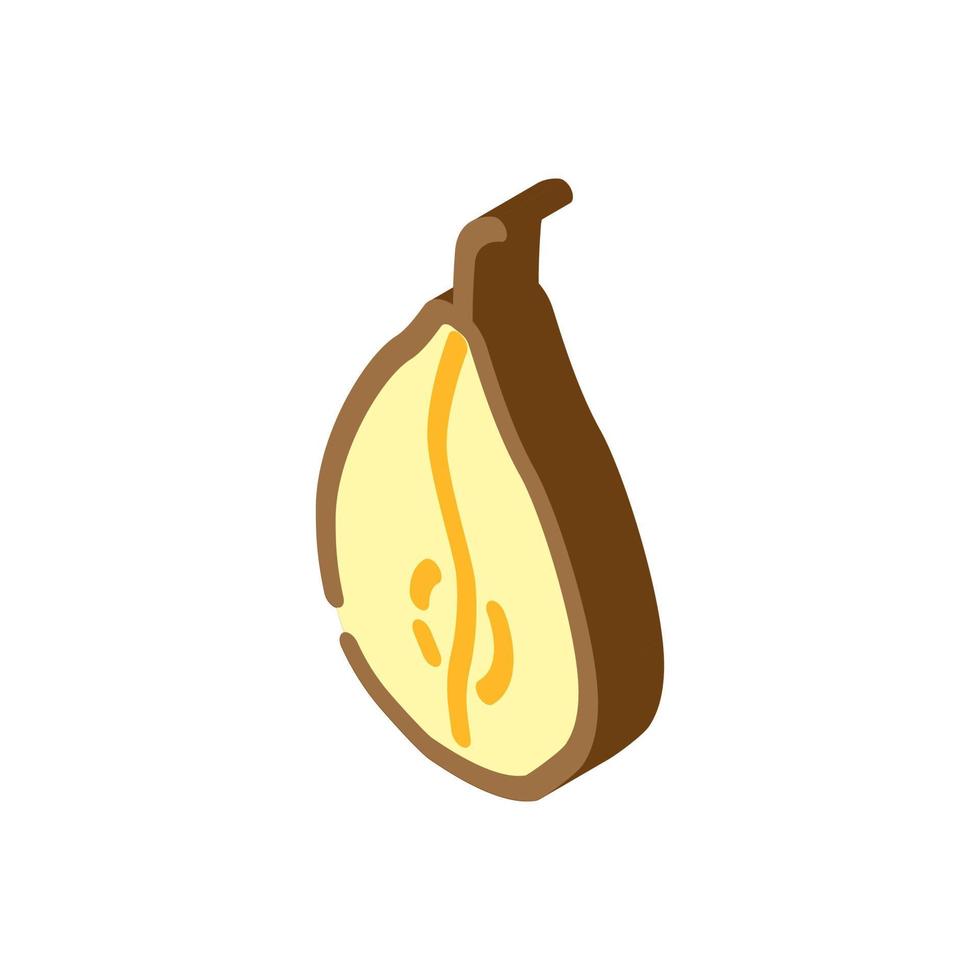 pear dried fruit isometric icon vector illustration