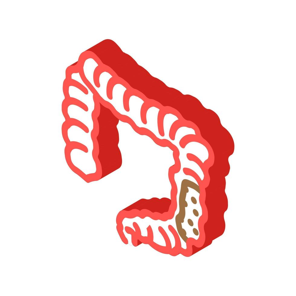 colon rectal cancer isometric icon vector illustration