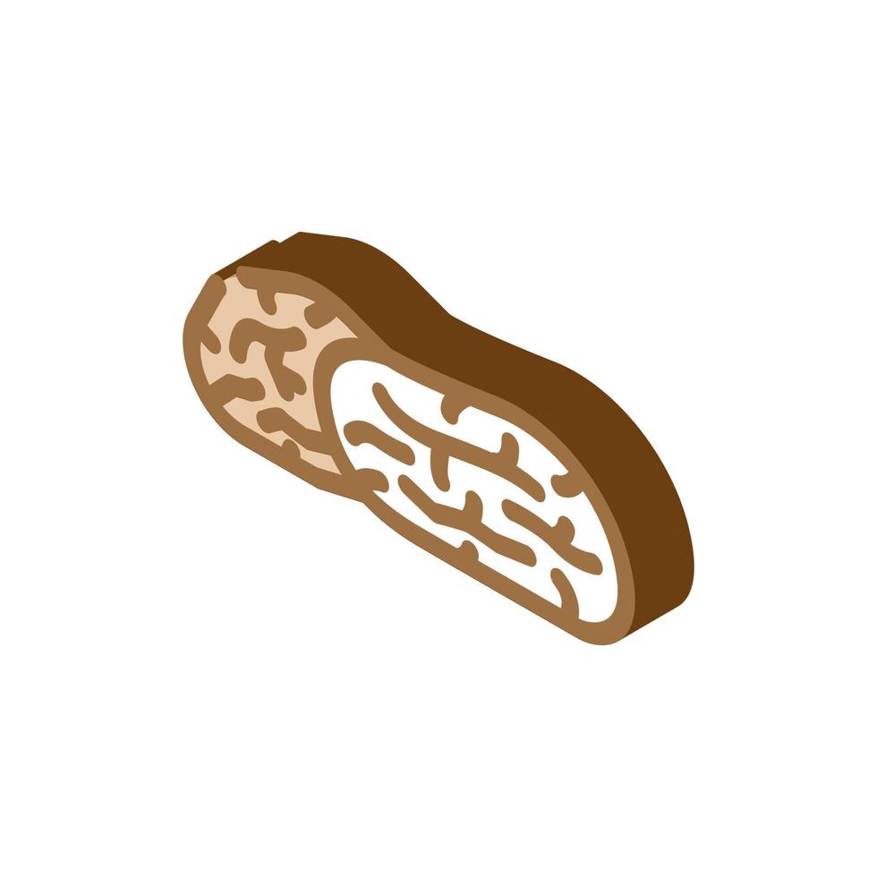 dates dried fruit isometric icon vector illustration