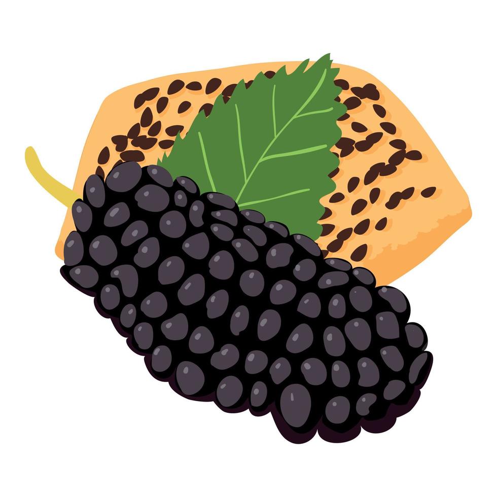 Mulberry dessert icon isometric vector. Black mulberry and cookie with seed icon vector