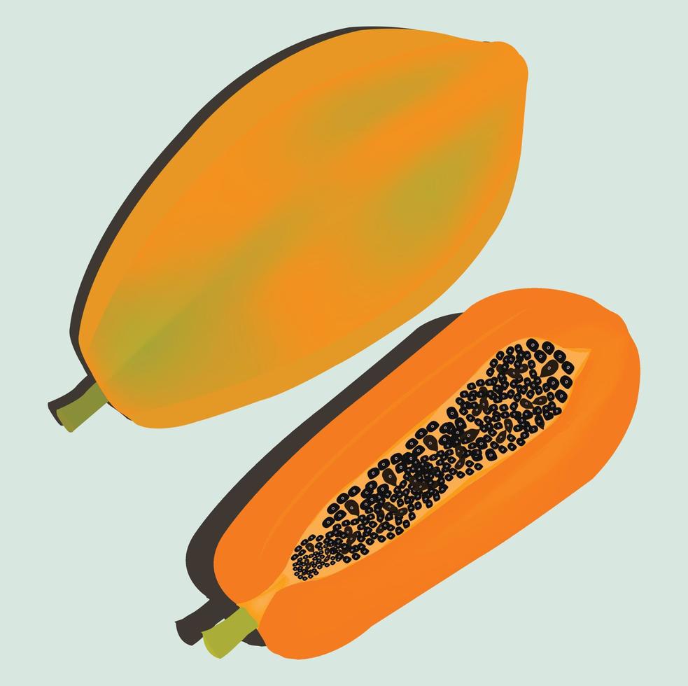 ilustración de papaya Fruta vector imagen icono