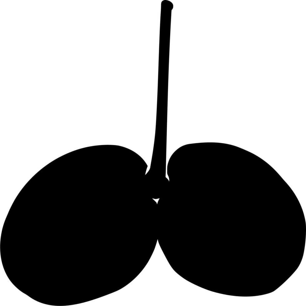 Vector silhouette of cherry on white background
