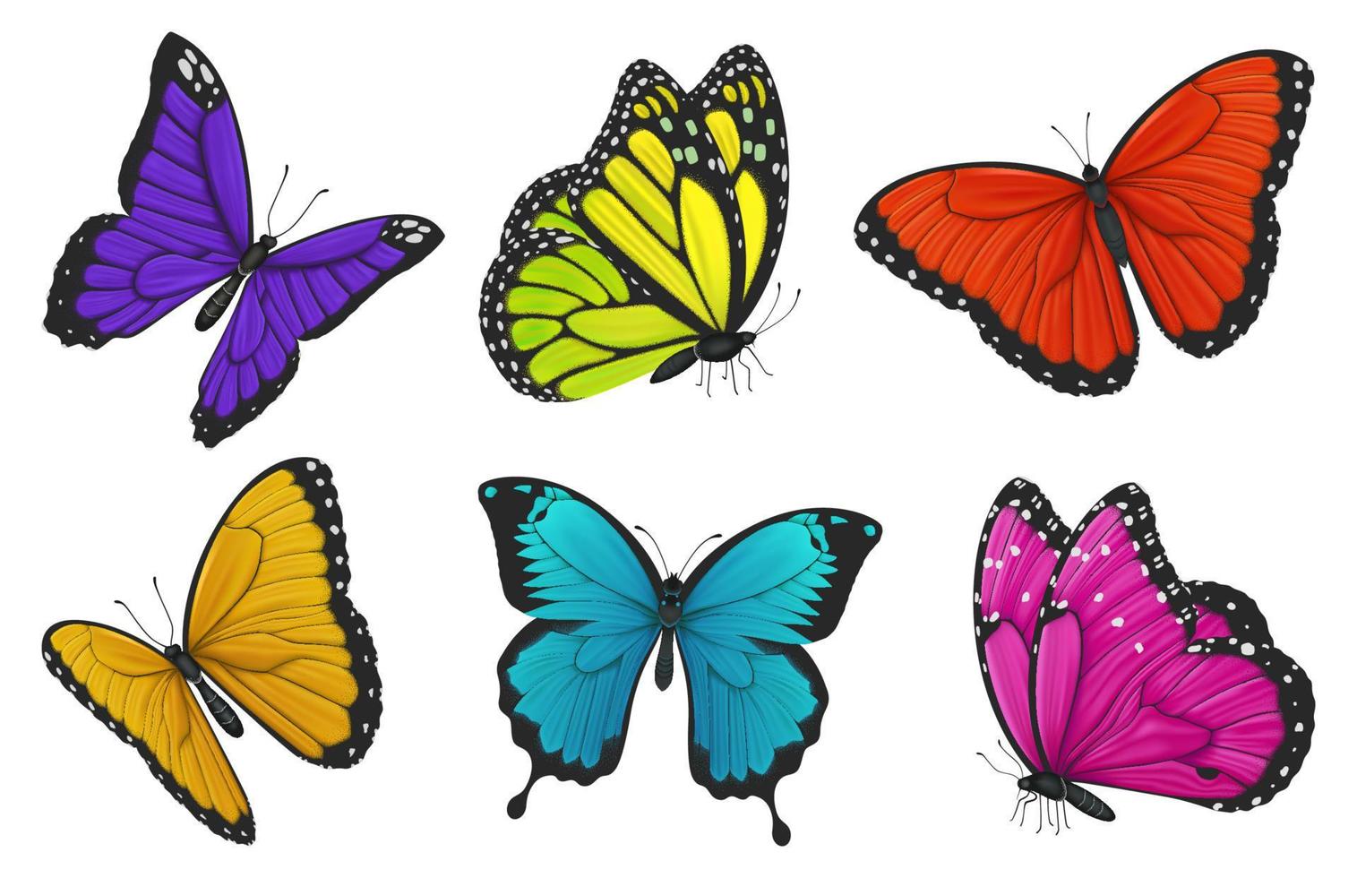 conjunto de vistoso mariposas vector ilustración.