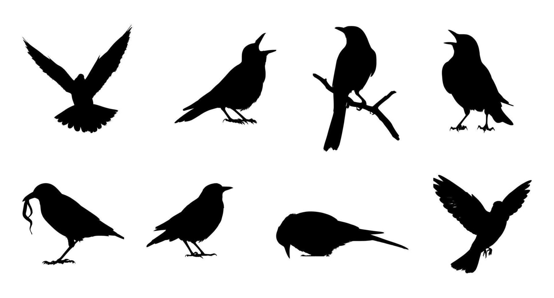 set of bird silhouettes in various poses vector