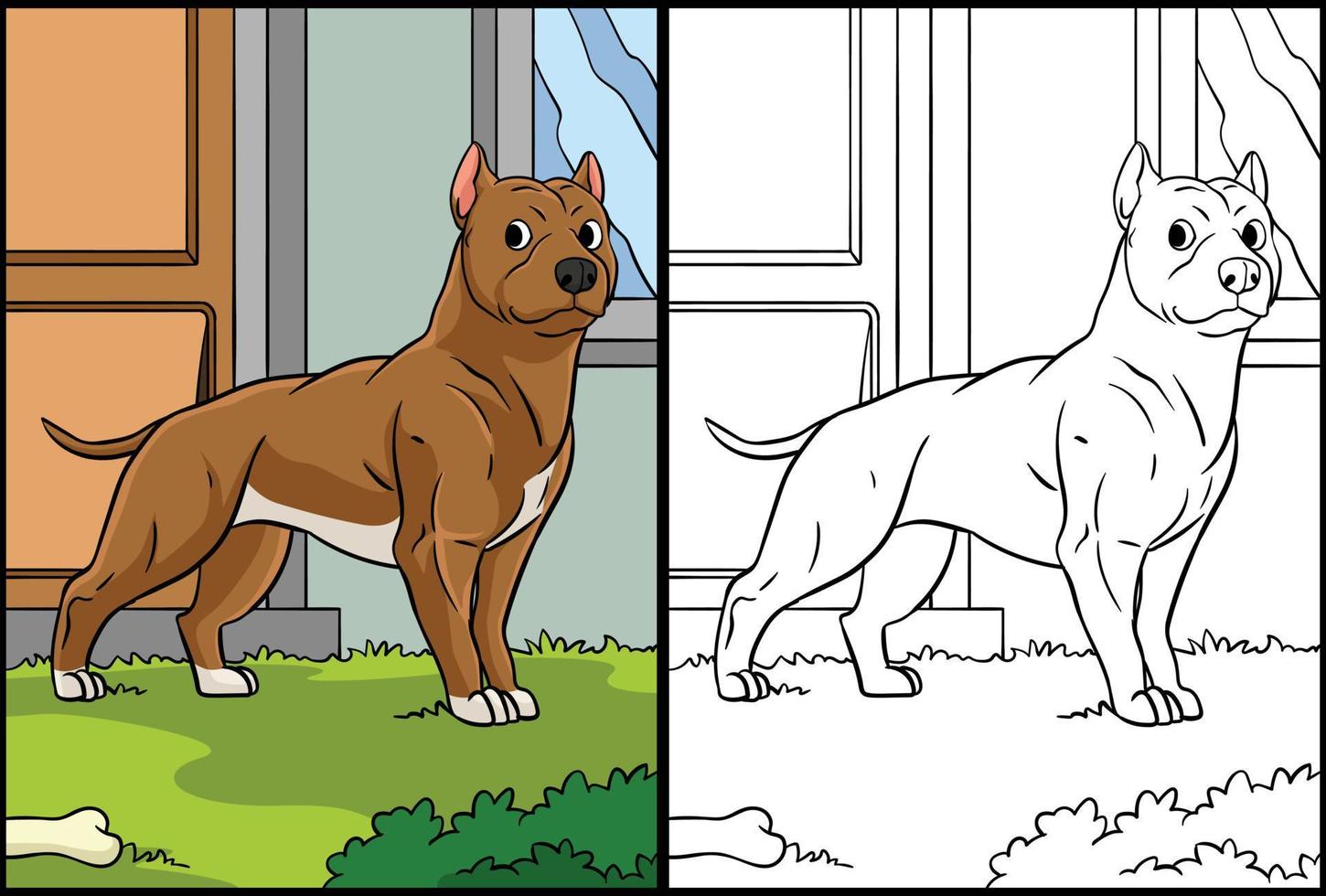 Pit Bull Coloring Page Colored Illustration vector