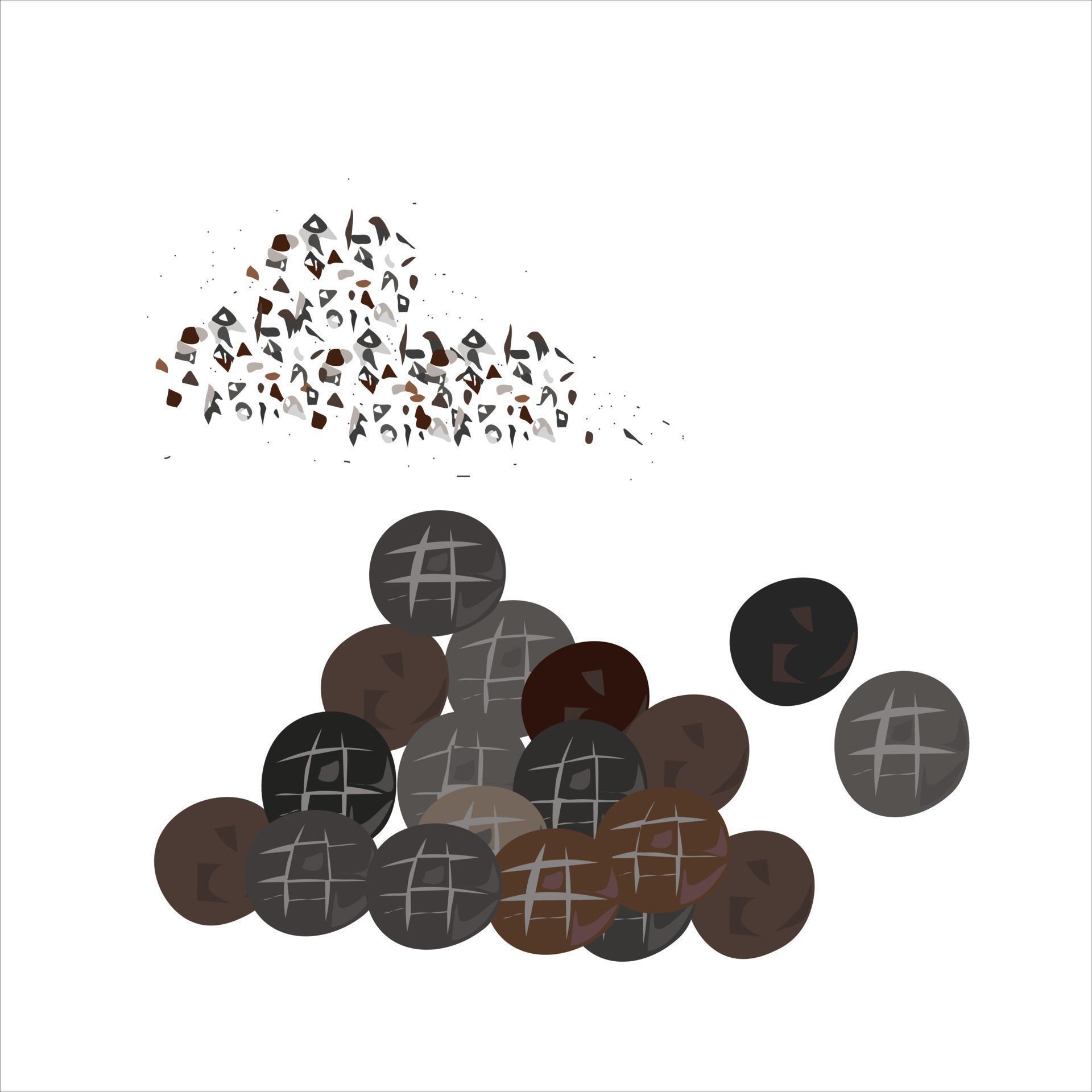 Peppercorn vector illustration. Peppercorn flat vector. Cartoon style