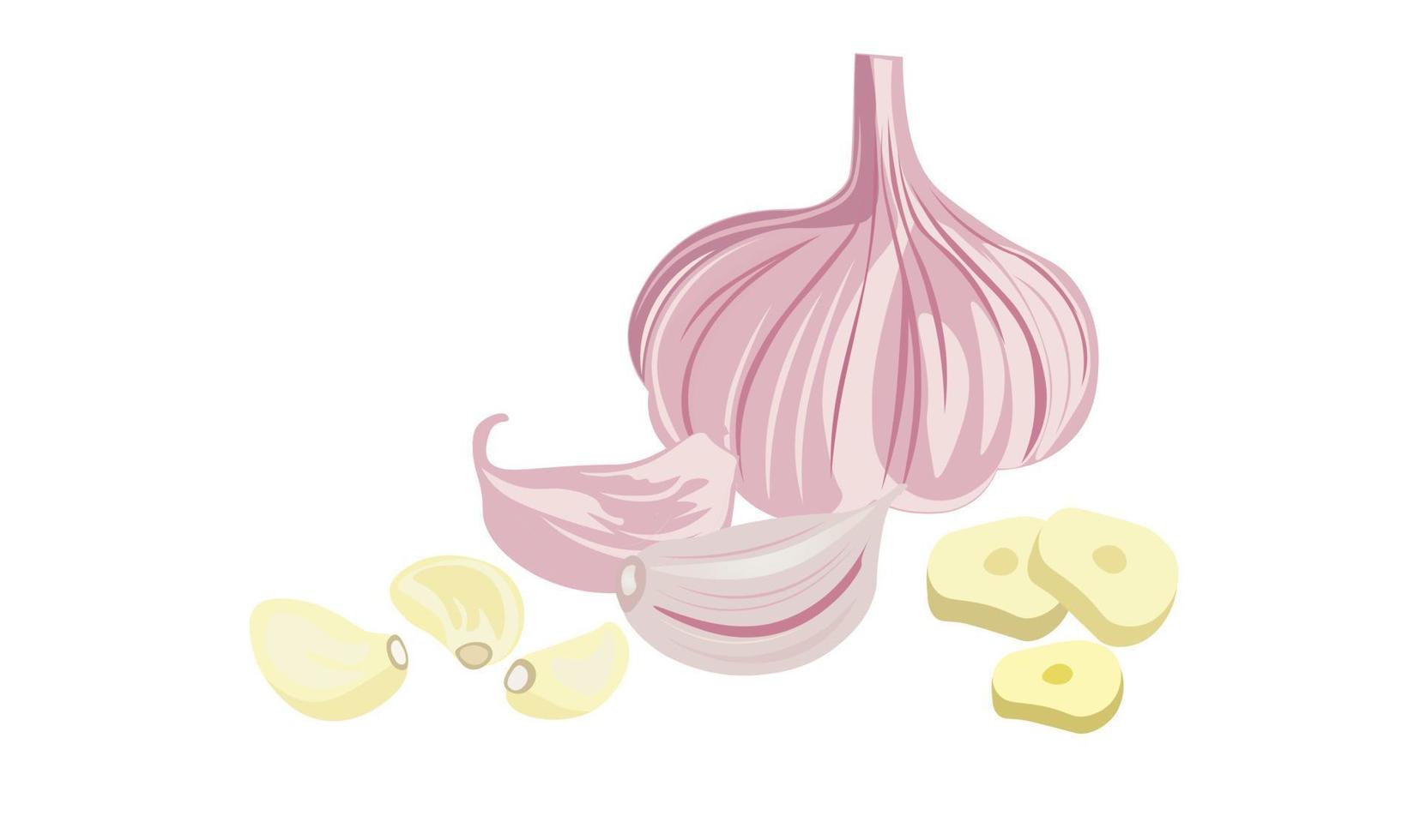 Garlic vector set. Garlic cloves vector. Garlic slices vector. Whole garlic  bulb. Flat vector in cartoon style. Chopped, cut. Spices.