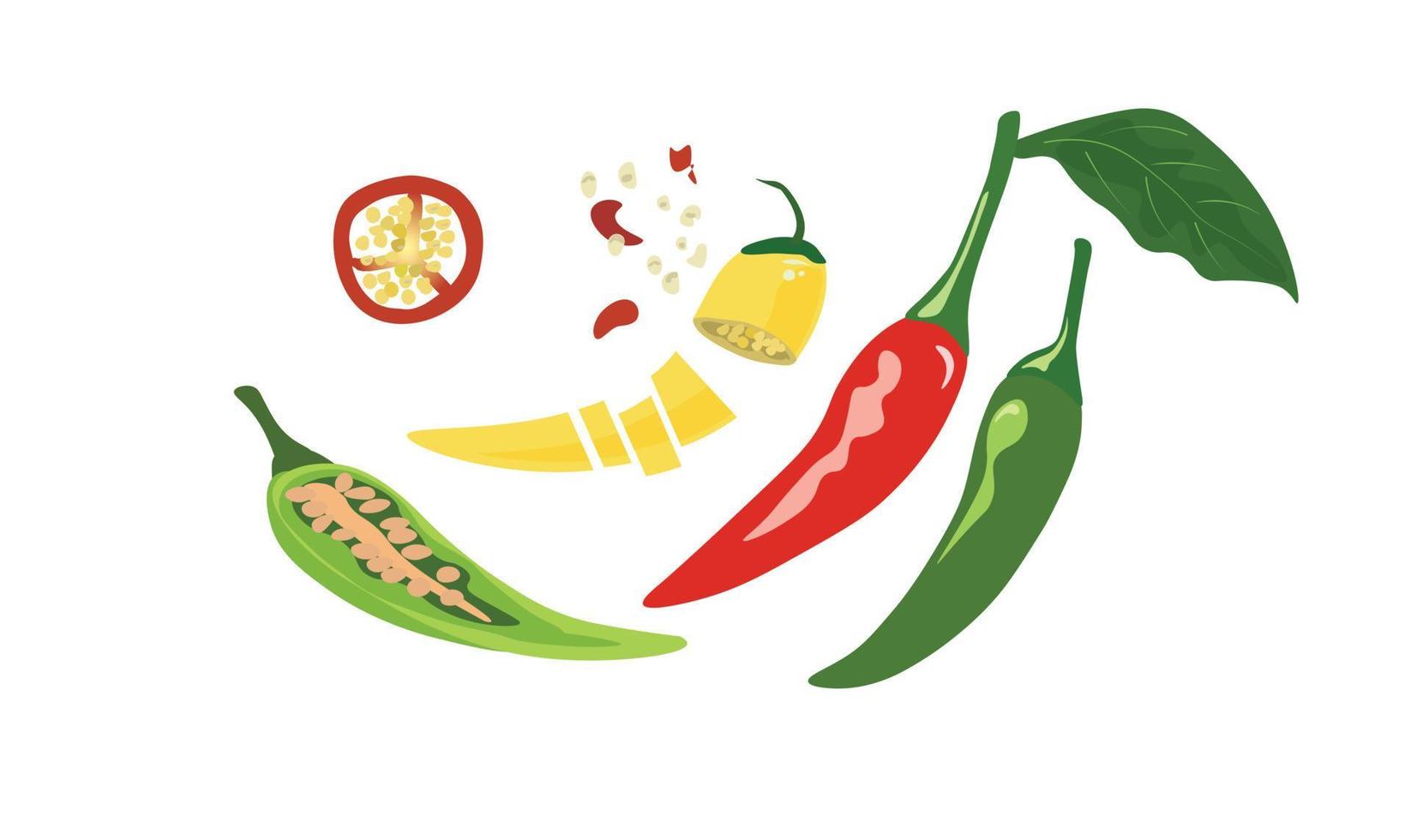 Chilli vector set. Chilli cut in half. Chopped. Chilli spices. rerd, green, yellow chilli. Flat vector in cartoon style.