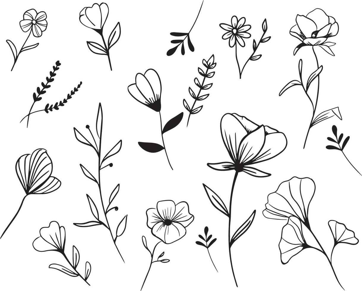 Set of hand drawn flowers and leaves vector