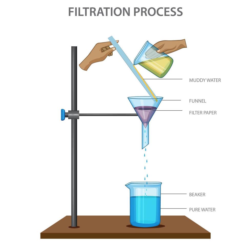 filtración proceso Ciencias experimentar vector ilustración