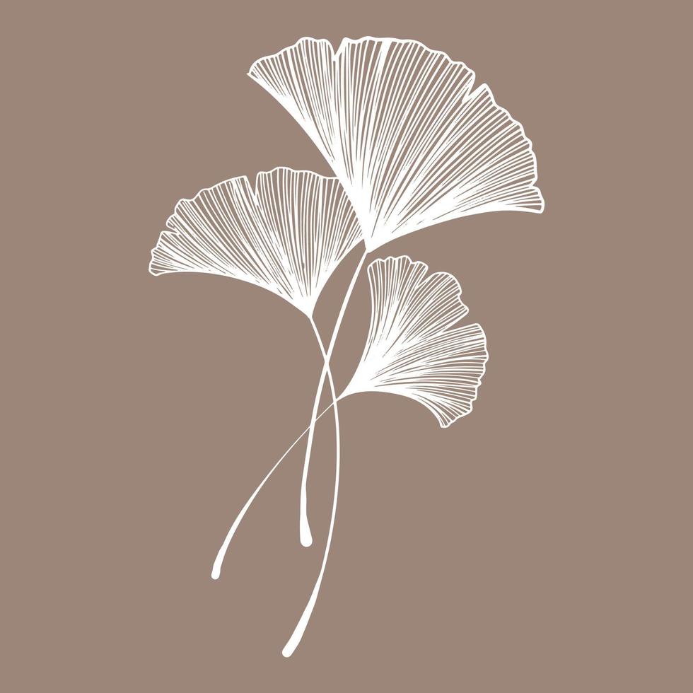 ginkgo leaf handwriting for card decoration clip art. vector