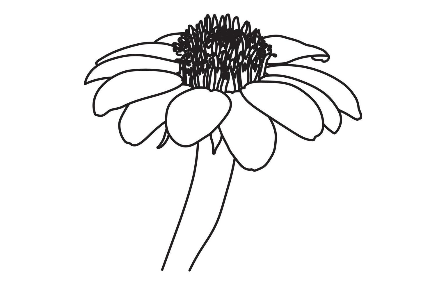Flower vector graphic design, for prints, vector illustration