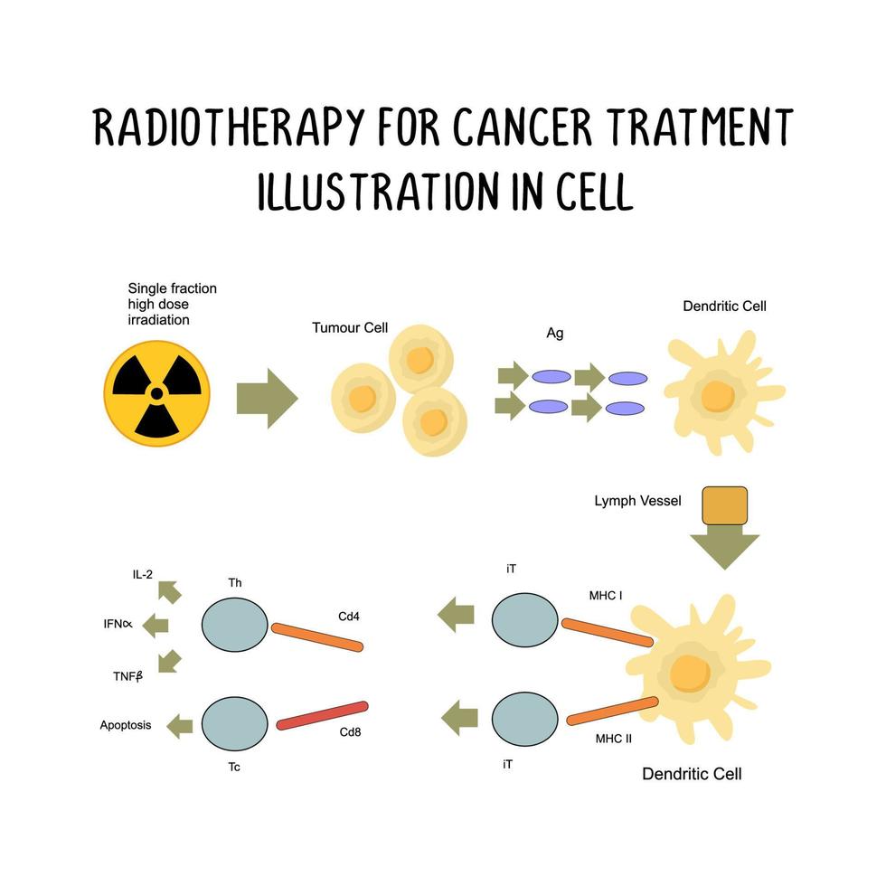 radioterapia para cáncer tratamiento ilustración en célula vector