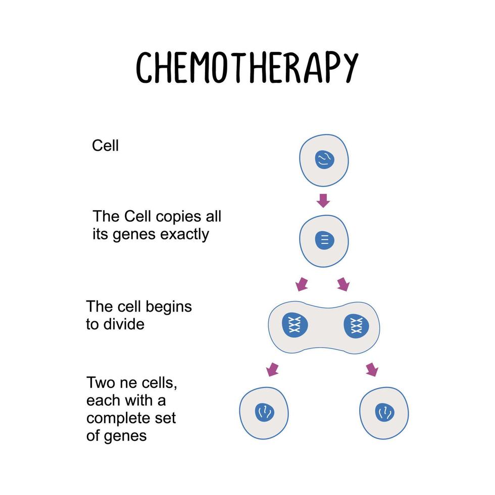 Chemotherapy use of drugs to treat cancer targeting and killing cancer vector