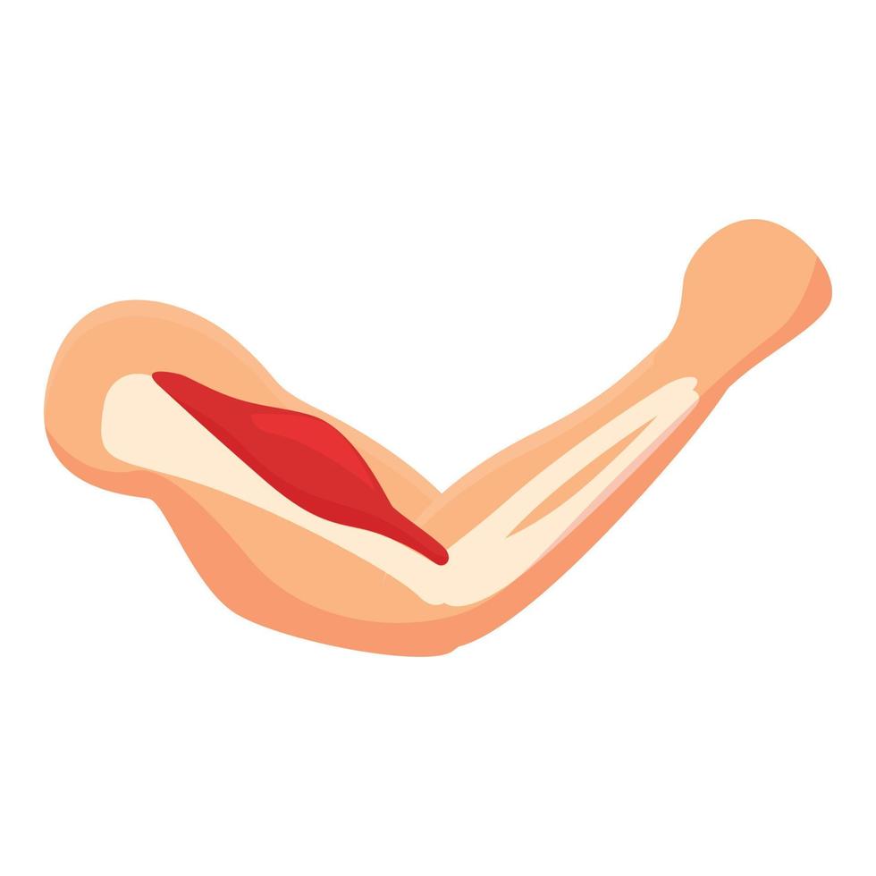 Flex muscle icon cartoon vector. Strong arm vector