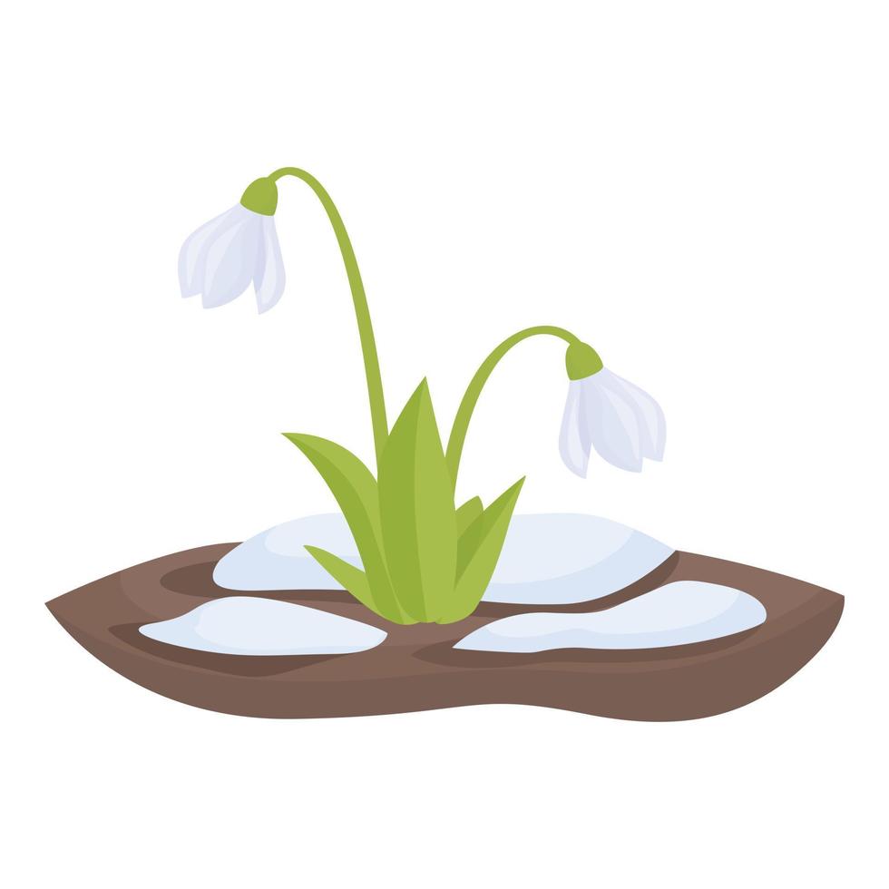 Snowdrop branch icon cartoon vector. Spring flower vector