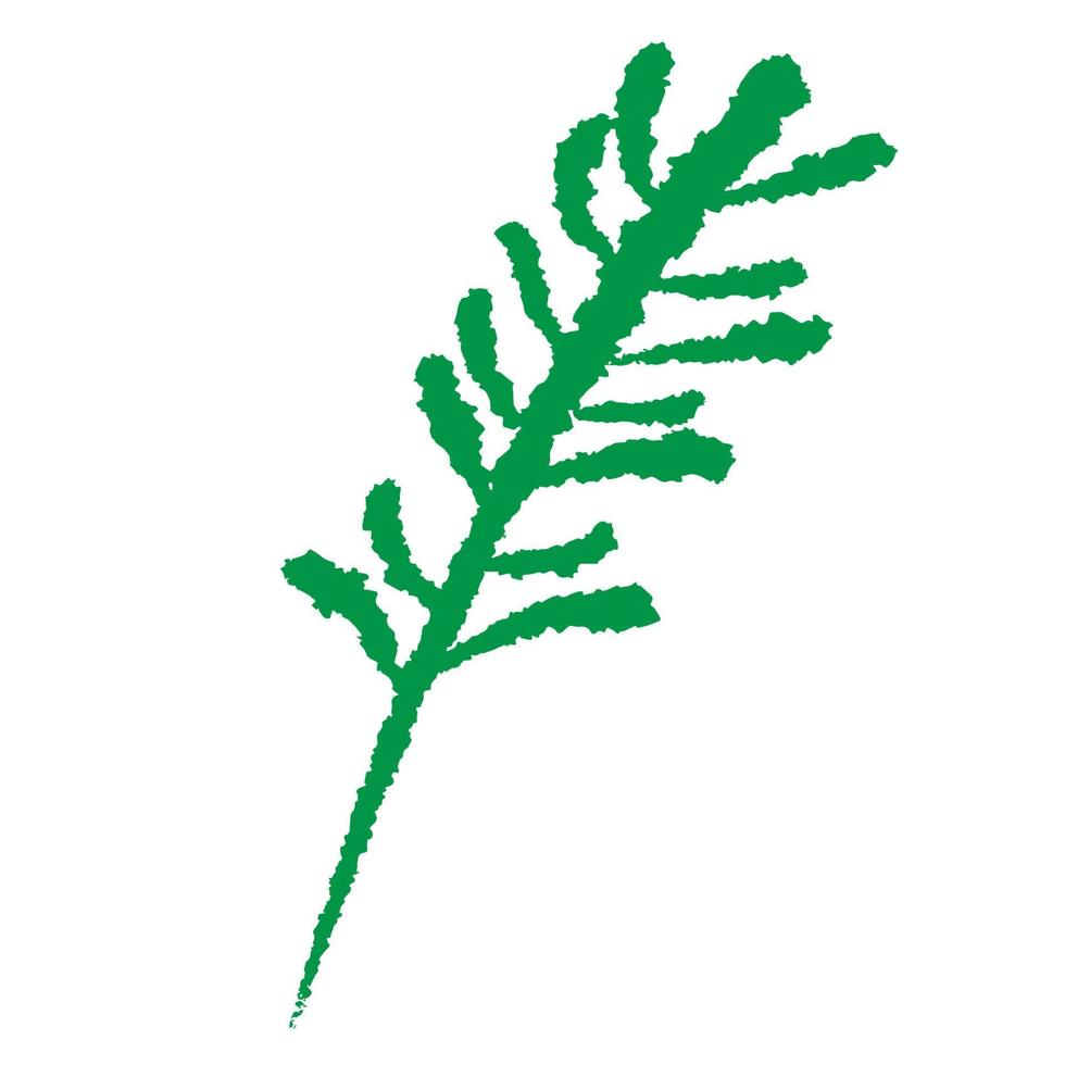 Long green leafs, good for your graphic design resources. vector