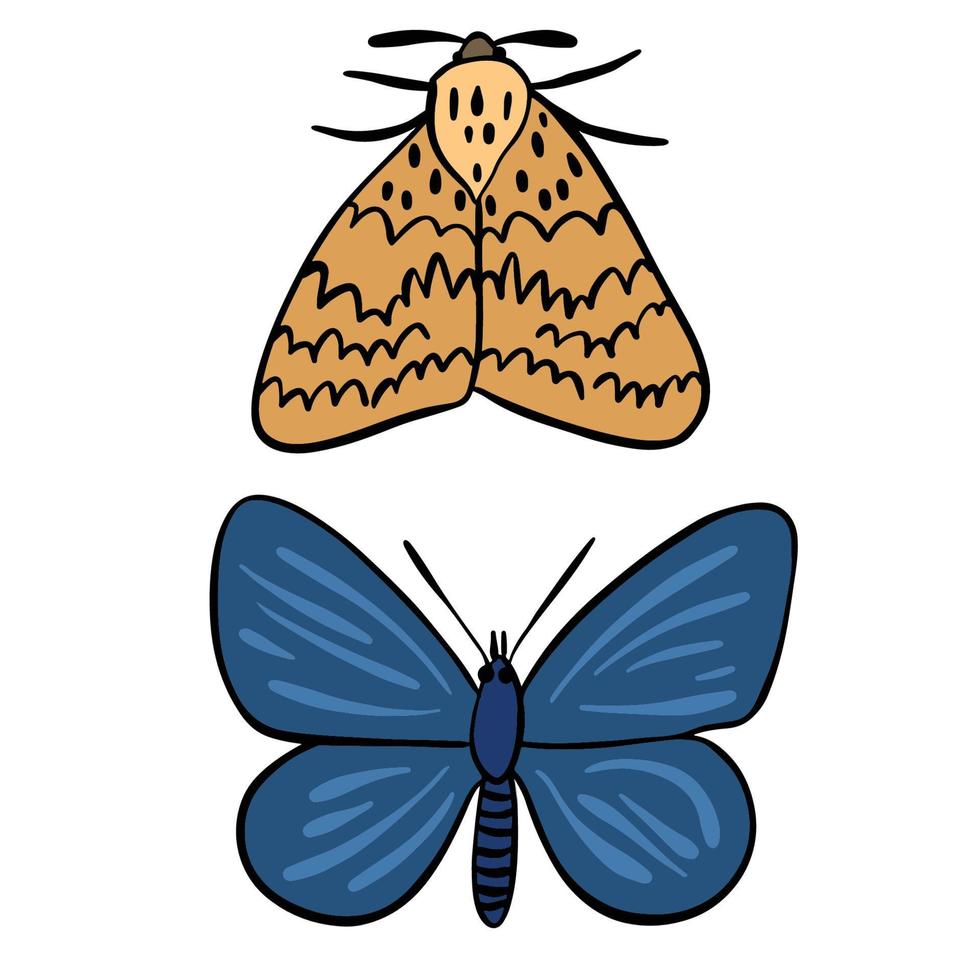 Sets of two beautiful butterfly and moth ,good for graphic design resources. vector
