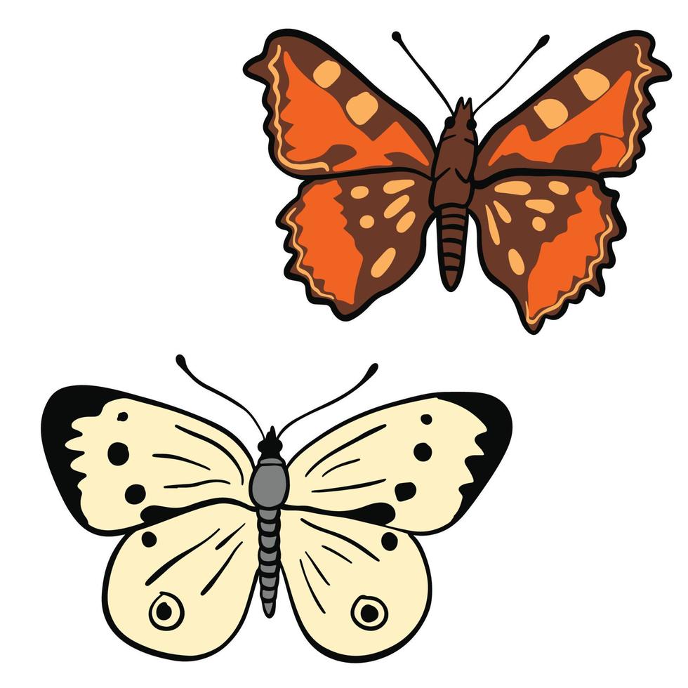 Sets of two beautiful butterfly and moth ,good for graphic design resources. vector