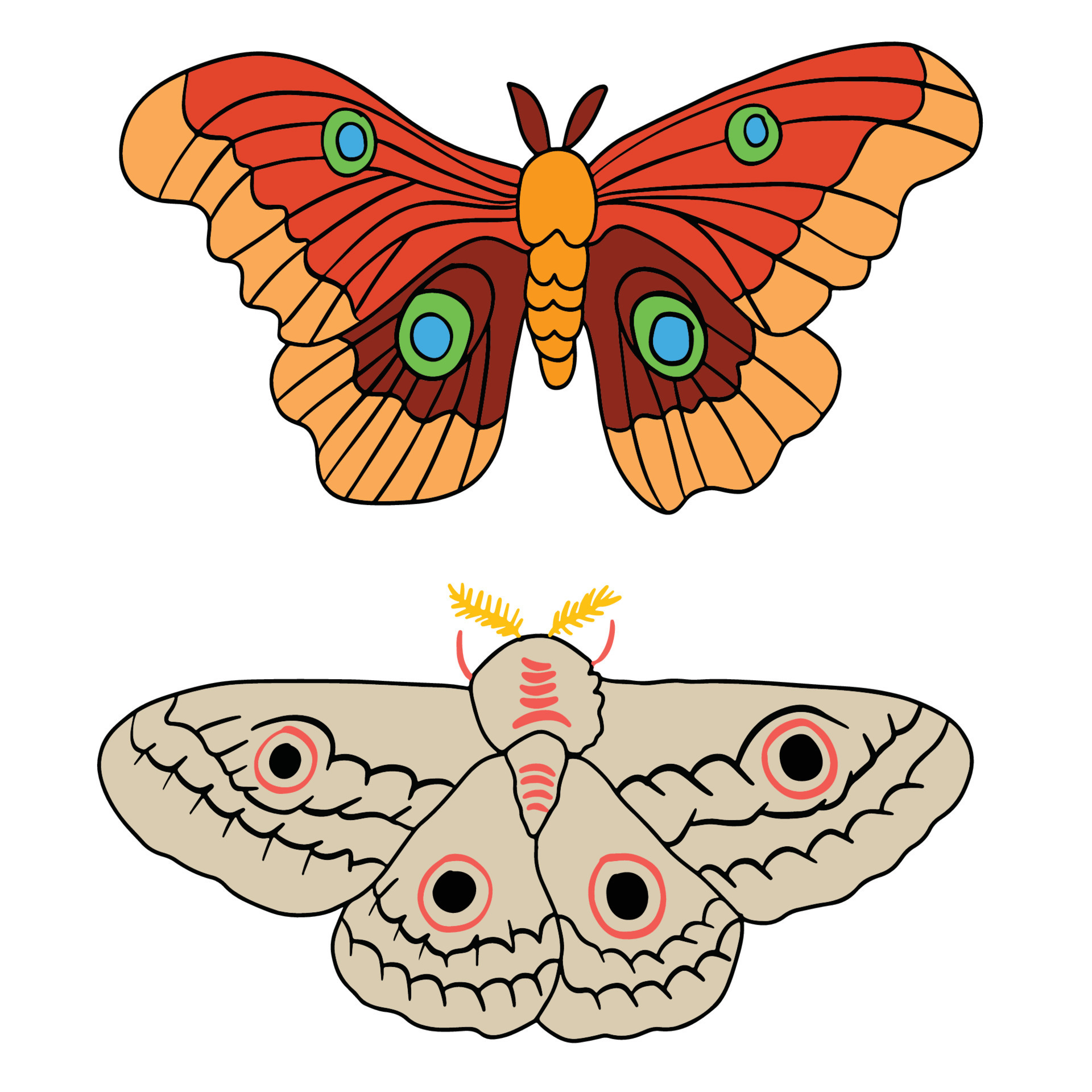 Sets of two beautiful butterfly and moth ,good for graphic design