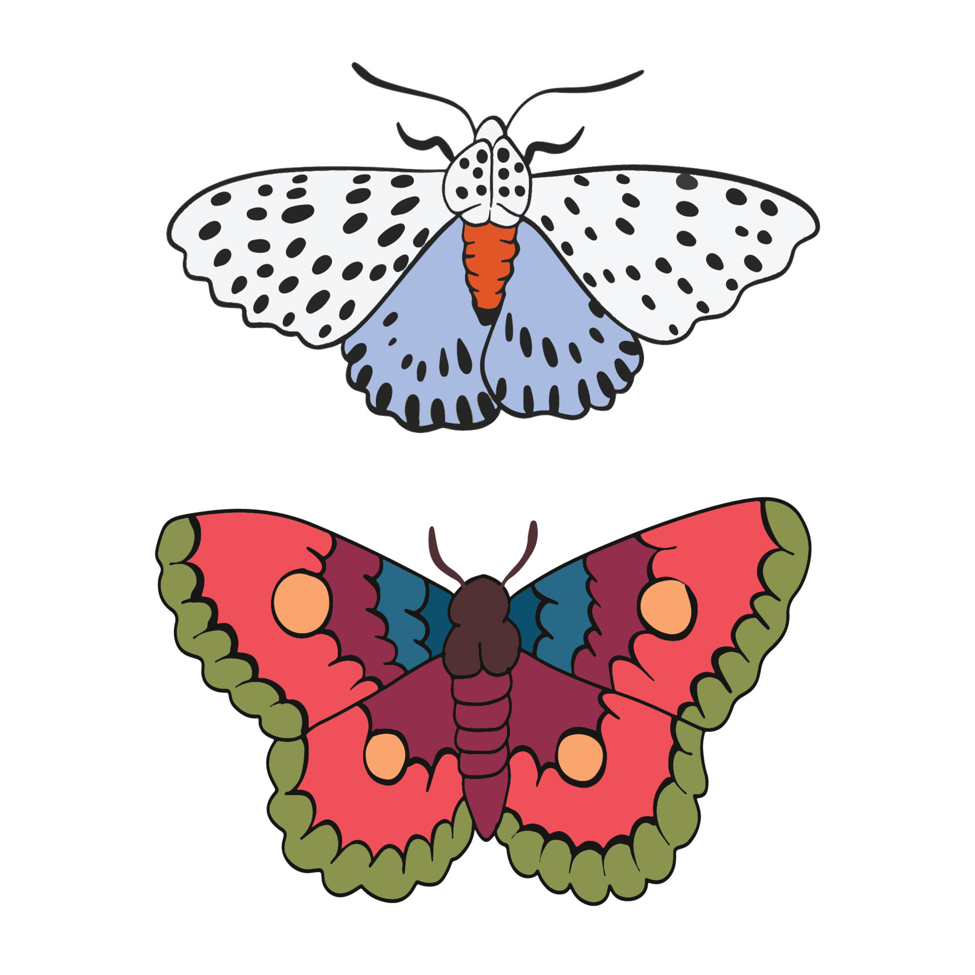 Sets of two beautiful butterfly and moth ,good for graphic design