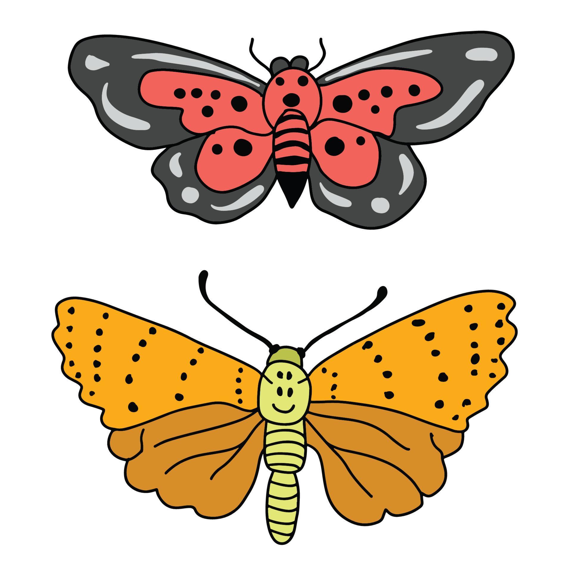 Sets of two beautiful butterfly and moth ,good for graphic design