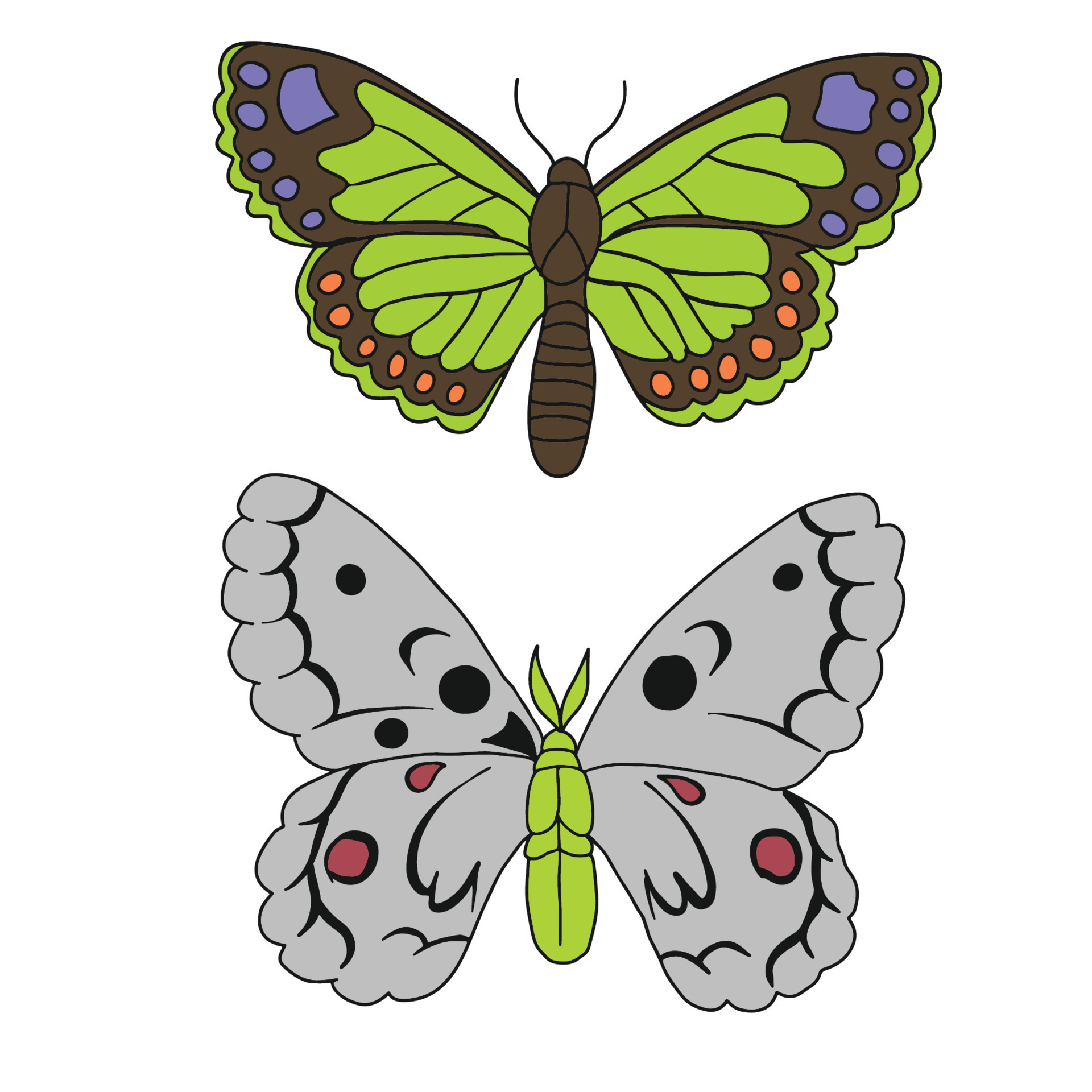 Sets of two beautiful butterfly and moth ,good for graphic design