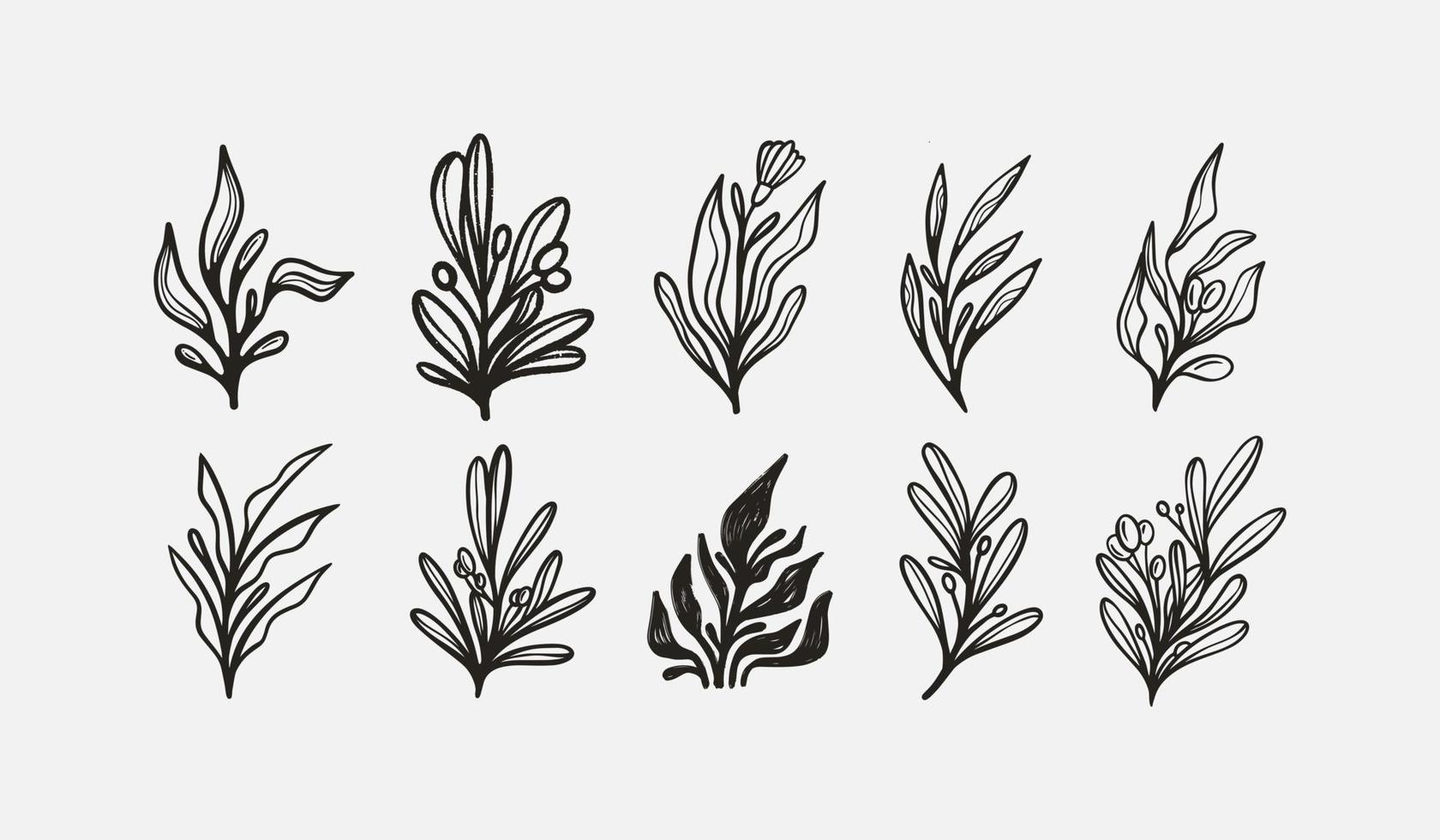 Leaf Flower Tree monoline. Universal creative premium symbol. Vector sign icon logo template. Vector illustration