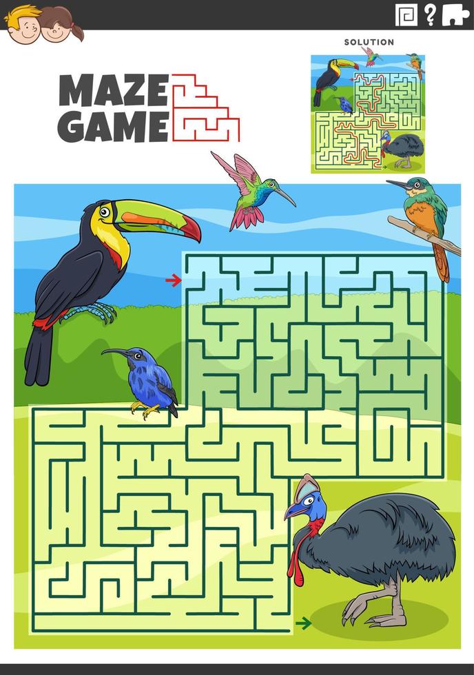 laberinto juego actividad con dibujos animados aves animal caracteres vector