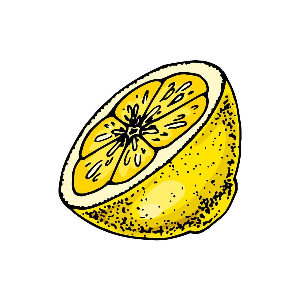 limón rebanada. vistoso mano dibujado vector ilustración en bosquejo estilo aislado en blanco antecedentes. agrios jugoso amarillo Fruta