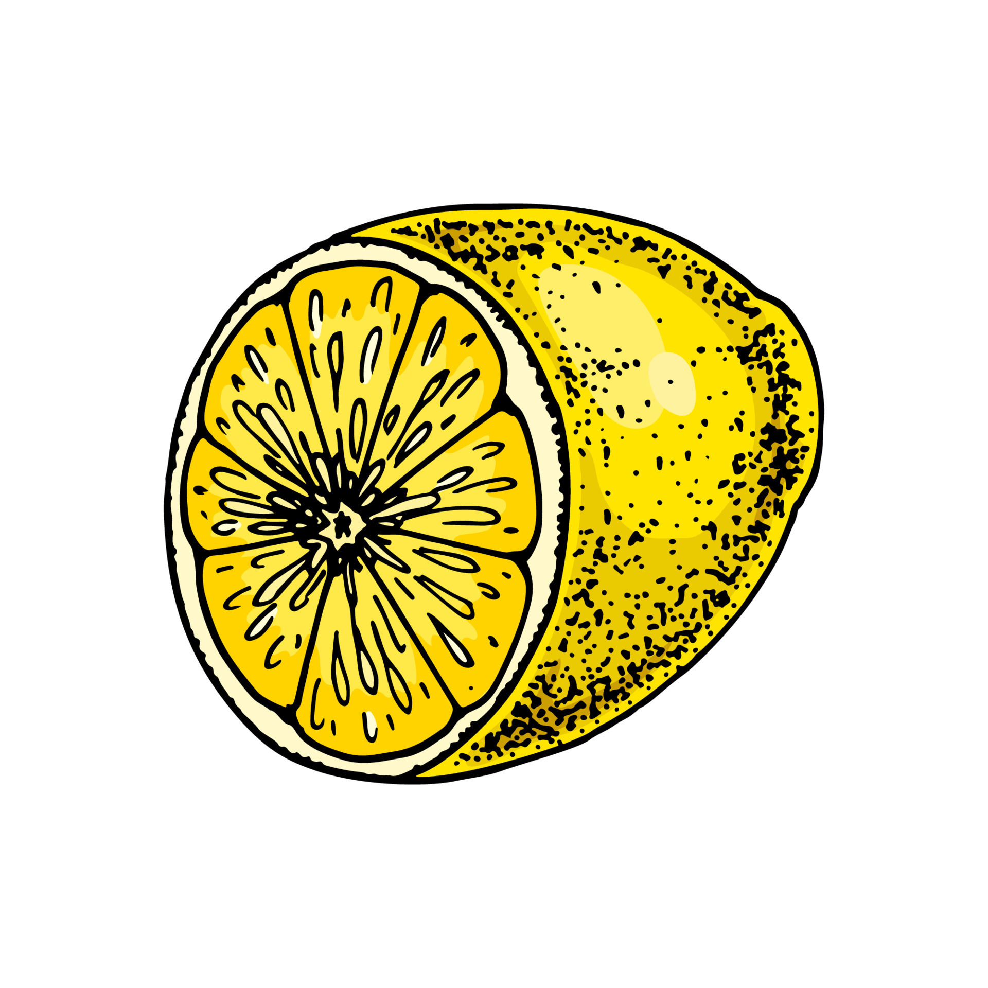 Cut by half lemon fruit. Colorful hand drawn vector illustration in