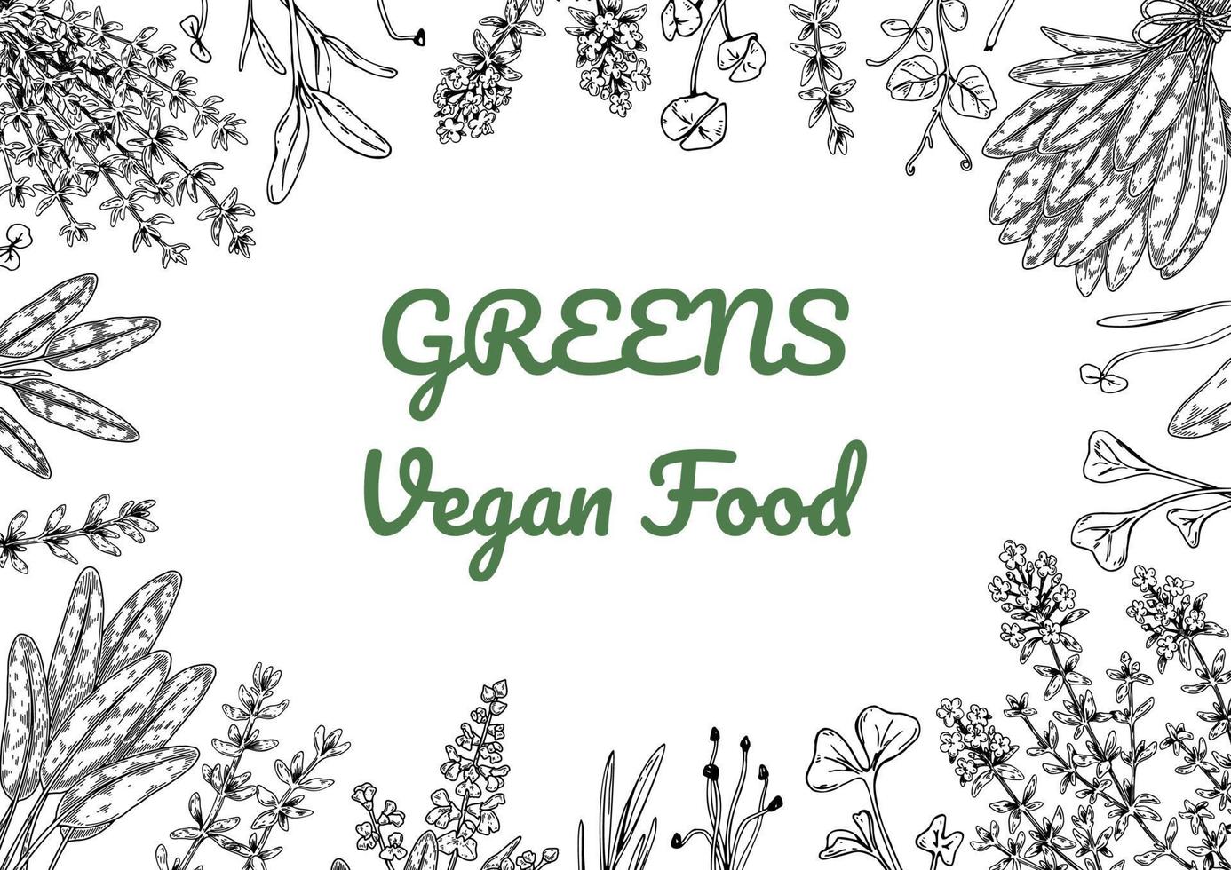 Herbs and green vegetables horizontal design. Hand draw background with cooking ingredients in sketch style. Detailed vector illustration