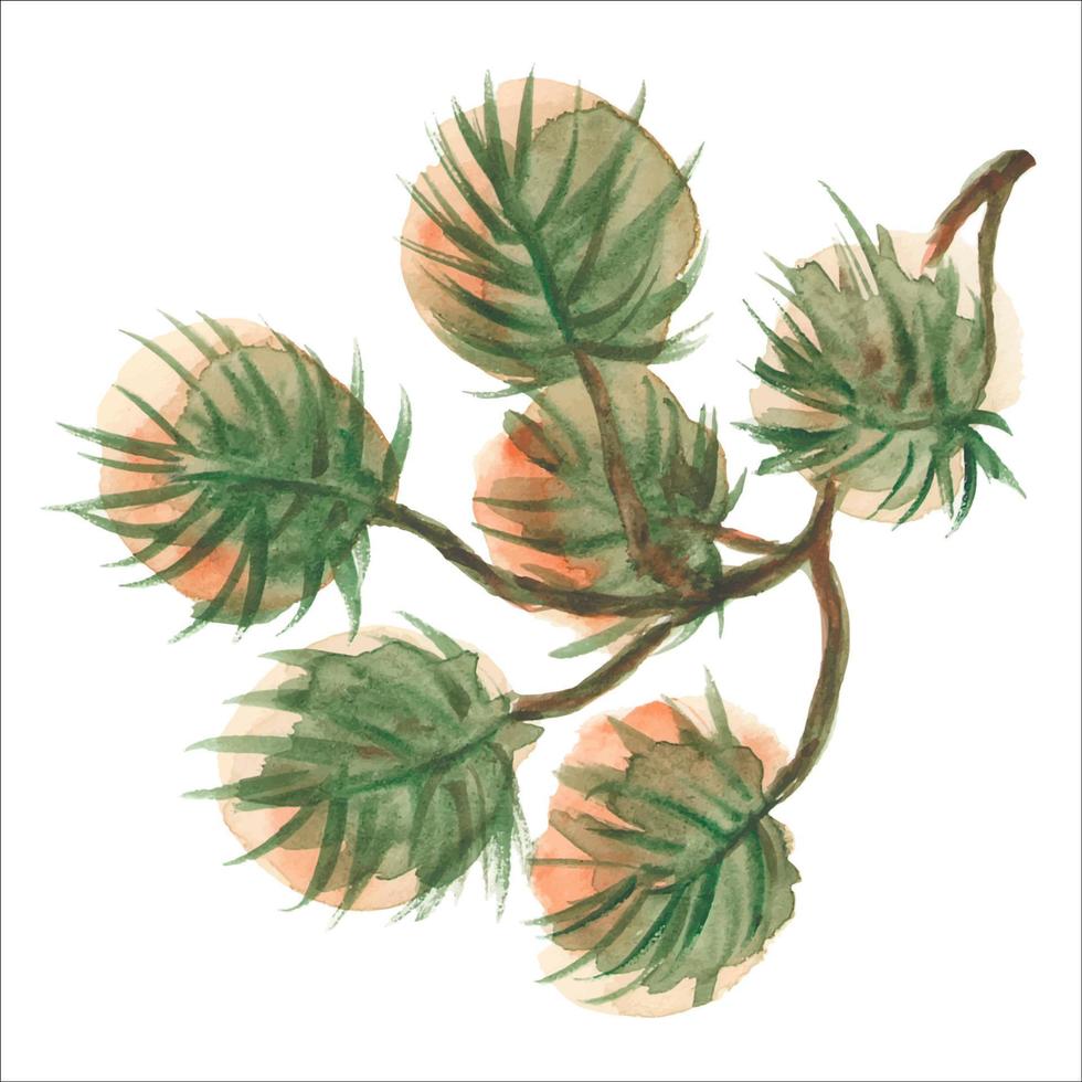 Watercolor Pine Twig On A White Background vector