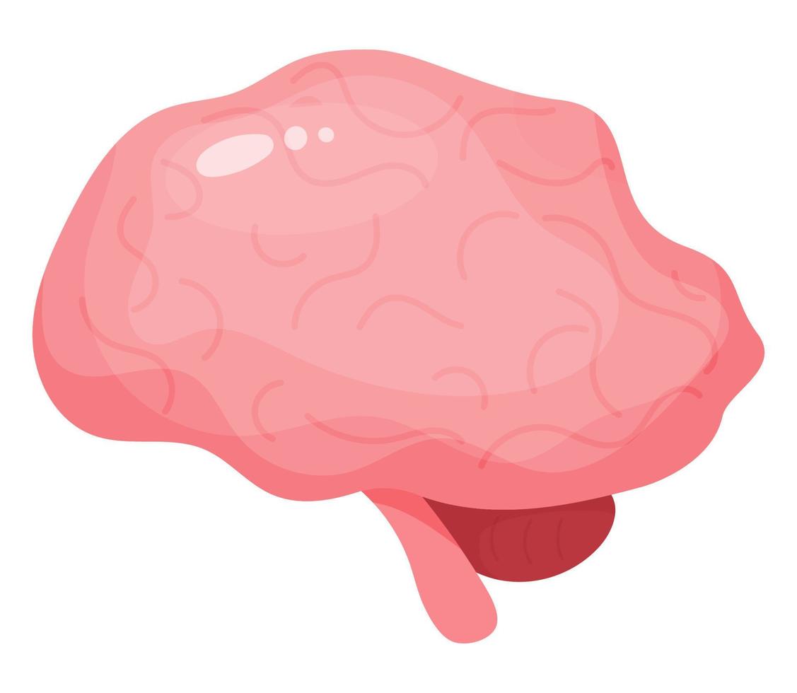 Brain. Human organ central nervous system. Vector illustration in flat cartoon style.