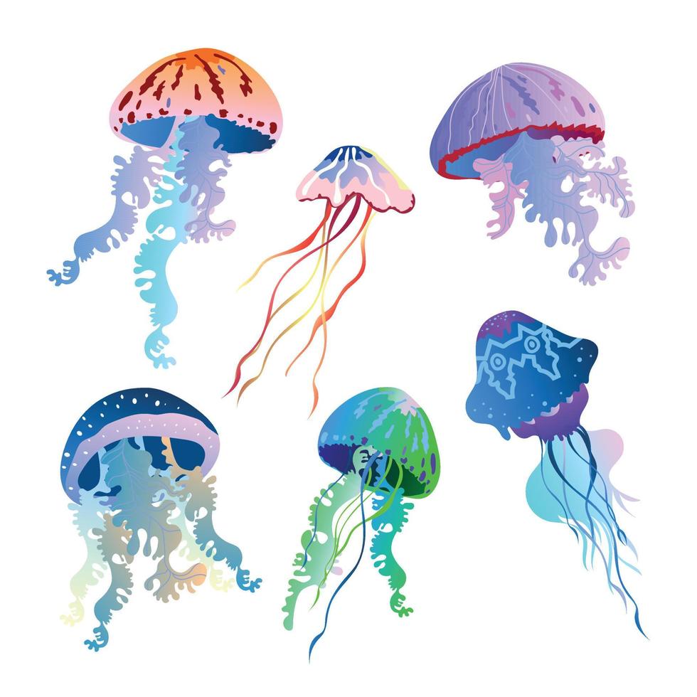 Jellyfish vector cartoon icon. Isolated cartoon set icon medusa.Marine underwater jellyfish, ocean sea transparent creatures vector isolated illustration set.