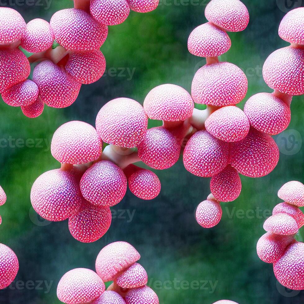 close up of a bunch of pink flowers. . photo