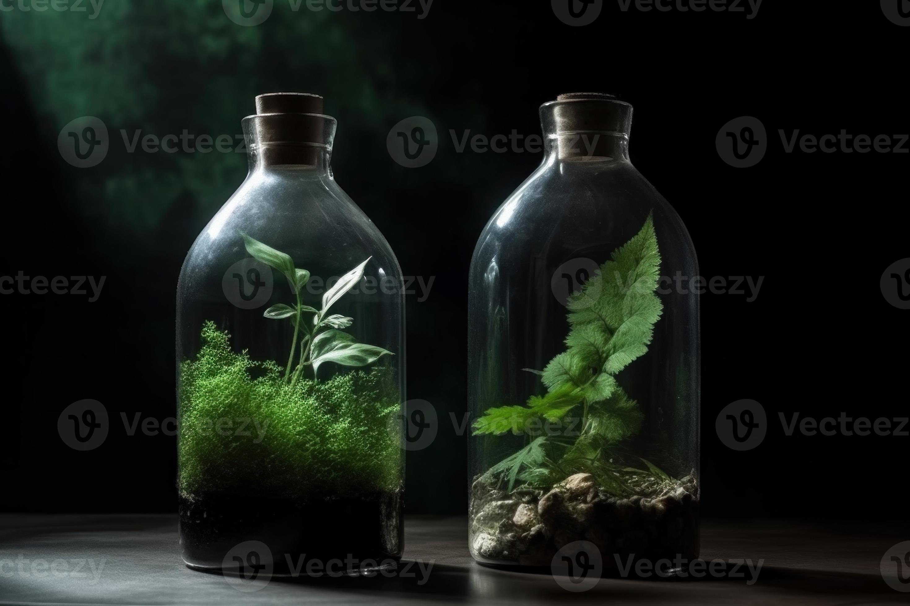 https://static.vecteezy.com/system/resources/previews/023/115/668/large_2x/glass-bottle-with-green-ecosystem-generate-ai-photo.jpg