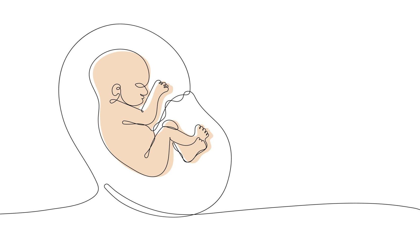 Continuous one line drawing of baby in womb vector