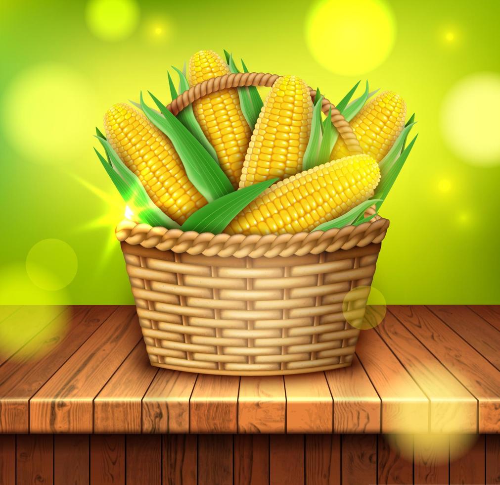 realista detallado 3d dulce orgánico maíz mazorca y rota cesta. vector
