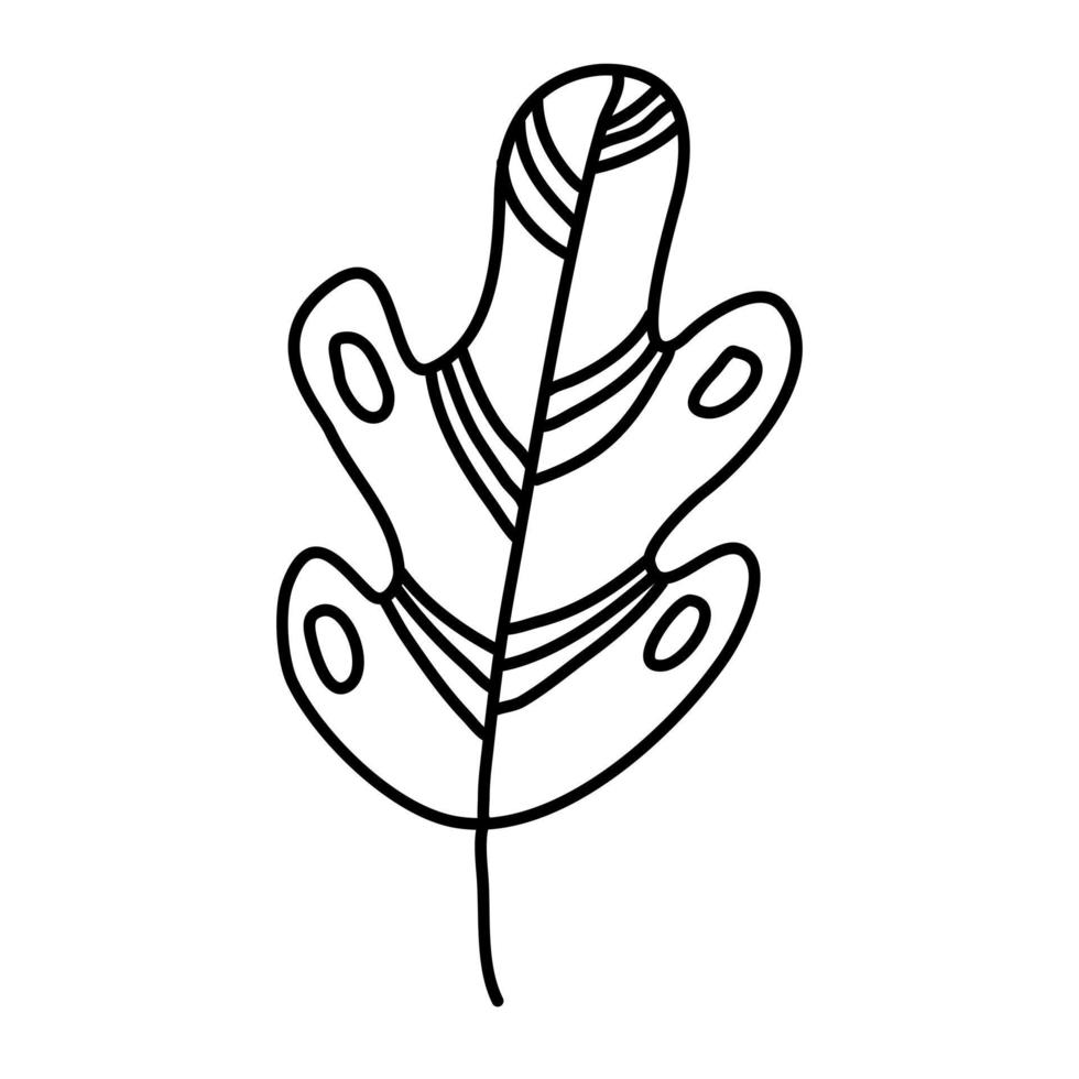 Aesthetic floral plant elements illustration vector