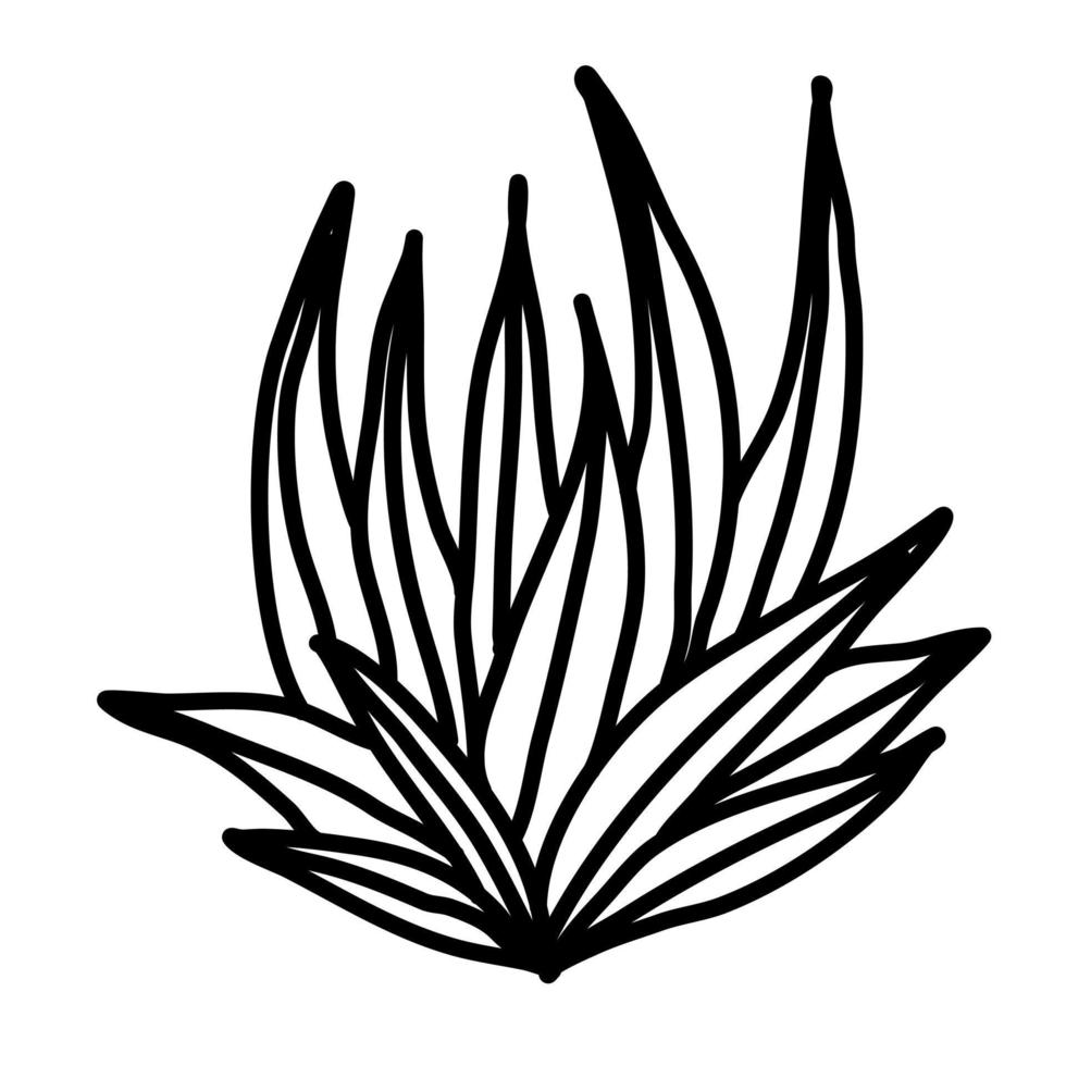 Aesthetic floral plant elements illustration vector