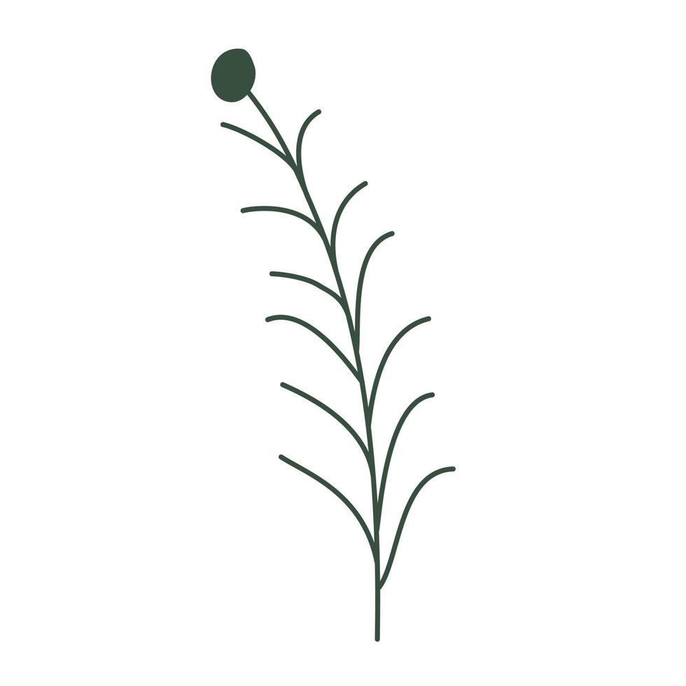 Aesthetic floral plant elements illustration vector