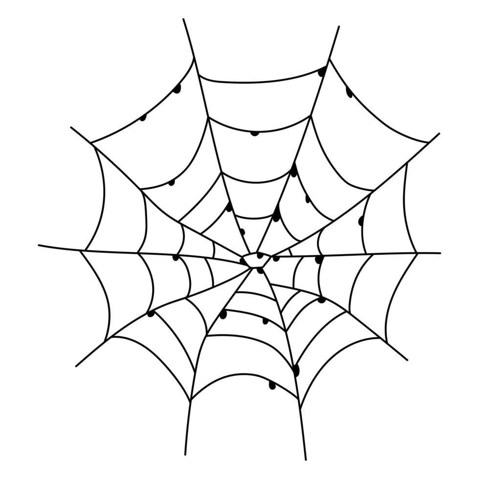 Scary spider web isolated. Spooky Halloween decoration. Outline cobweb illustration vector