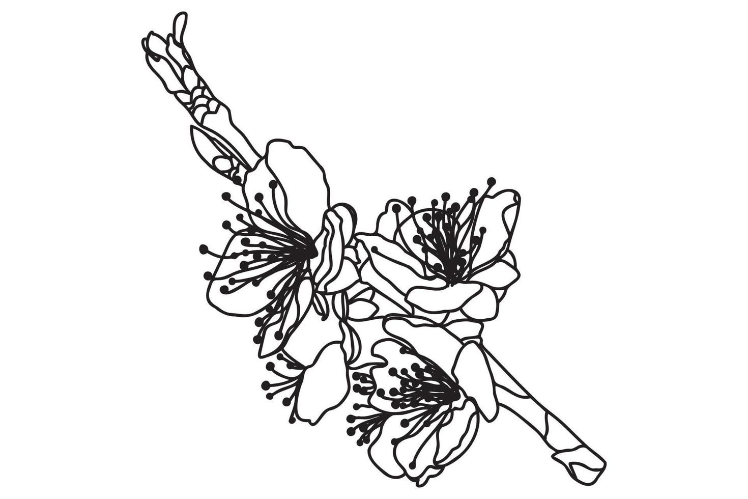a blossoming tree branch is drawn in black outline, it is intended for print, postcard, tattoo, logo, March 8, Valentine and you can use it in different cases. vector