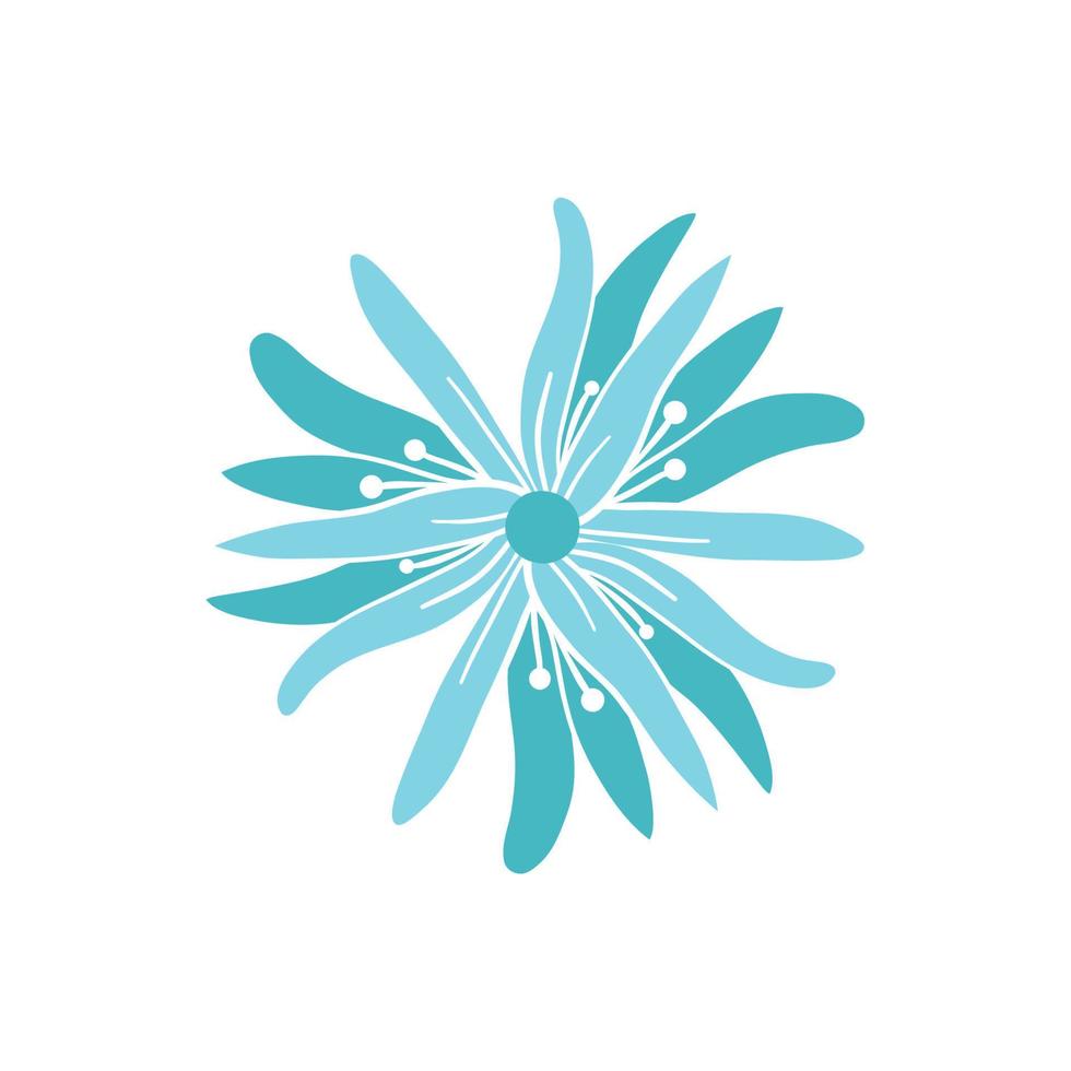 wild flower. Floral herbal plants with blue flowers. Delicate field and meadow wildflowers and herbs. Botanical flat vector illustration of delicate summer flora isolated on white background